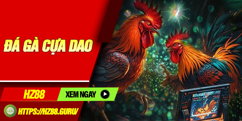 Da Ga Cua Dao 1