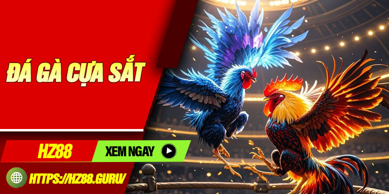 Da Ga Cua Sat